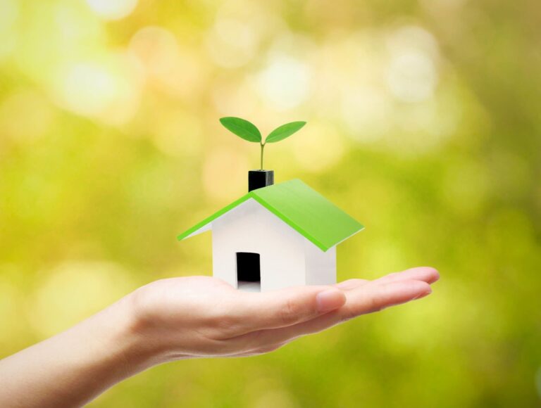 8 Simple Steps to Creating an Eco-Friendly Home