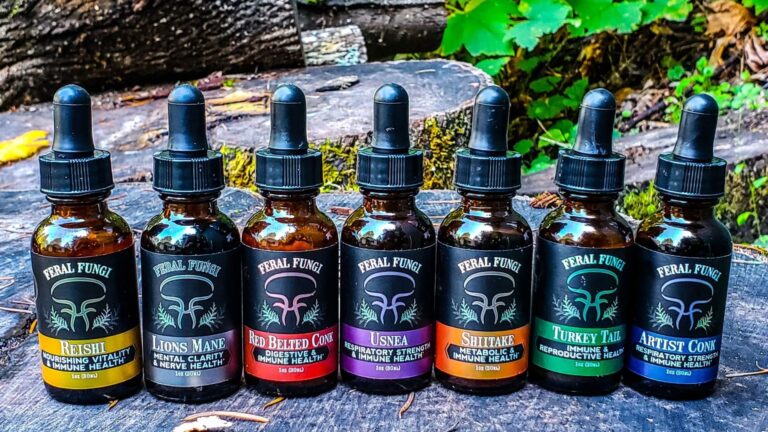 Revolutionizing the Medicinal Mushroom Space: A Deep Dive into Feral Fungi’s Spagyric Tinctures