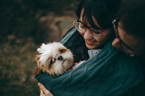 For the Furbabies: 4 Ways to Be a Better Pet Parent