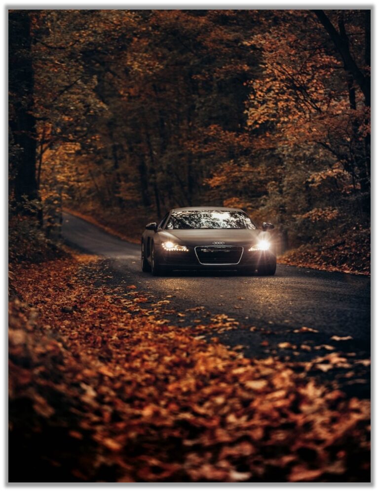 Tired Of Bad Tires? Try Top-Tier WEIZE’S Tires