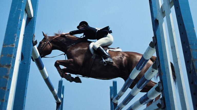 The Importance of Sportsmanship in Show Jumping: Lessons from Alec Lawler