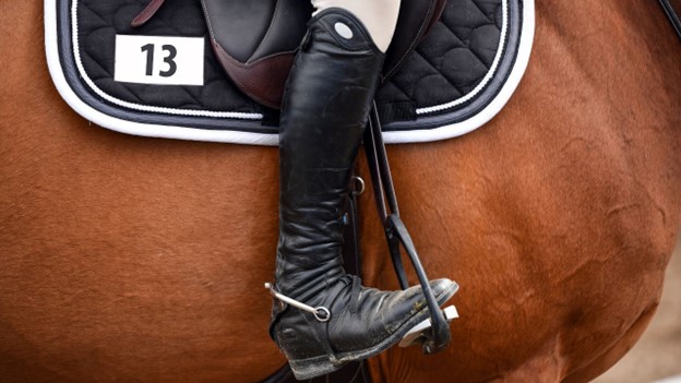 The Evolution of Show Jumping: Trends and Innovations Shaping the Sport with Alec Lawler