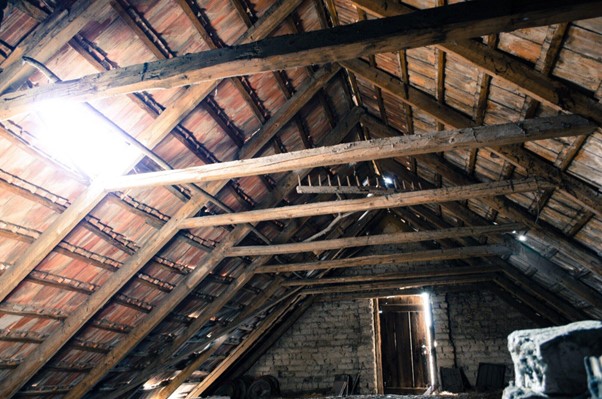 Banishing Intruders: Expert Strategies for Pest Removal from Attic