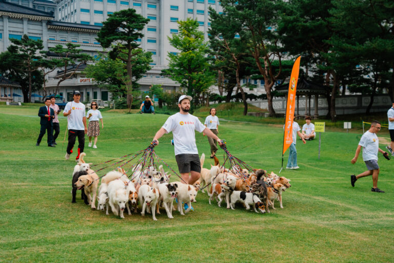 BONK & Korean K9 Rescue Unite to Break GUINNESS WORLD RECORD™ and Save Lives