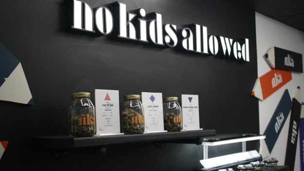 DC’s cannabis-powered wellness scene: why No Kids Allowed is leading the way