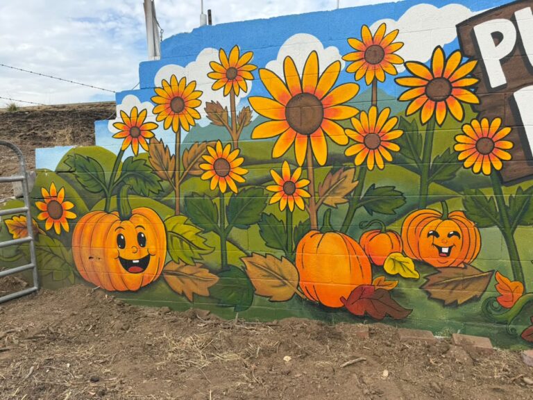 Pick Your Own Pumpkin: A Day in the Life at Pumpkin Jack’s Ranch